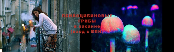 твердый Арсеньев