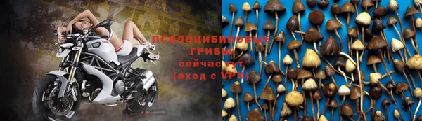 твердый Арсеньев