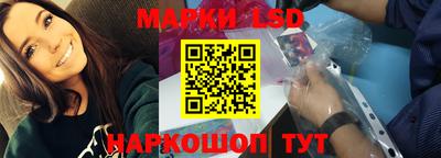 прущие грибы Анапа