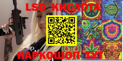 прущие грибы Анапа