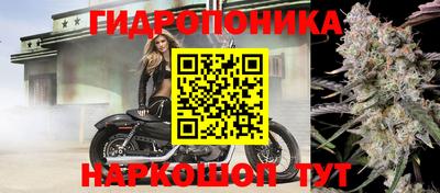 Альфа ПВП Анжеро-Судженск