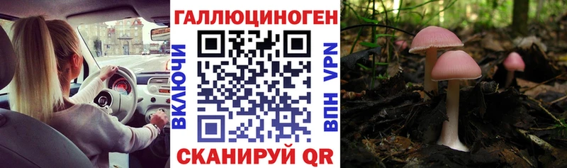 Галлюциногенные грибы GOLDEN TEACHER  Курган 
