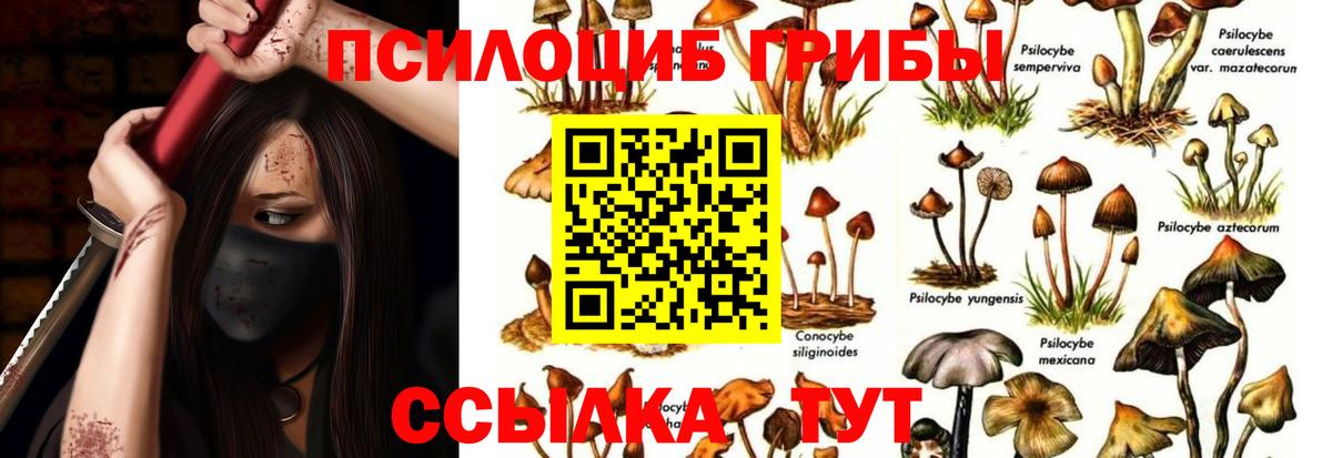 Галлюциногенные грибы GOLDEN TEACHER Курган